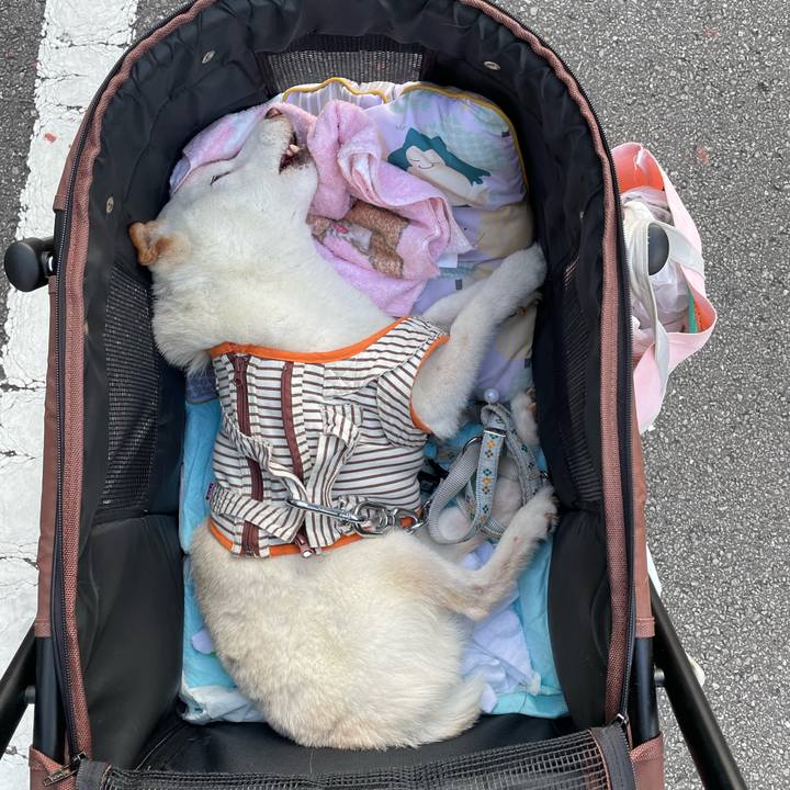 396a2f1f 338b 42a2 b9d4 08125d93899a 1661515190609