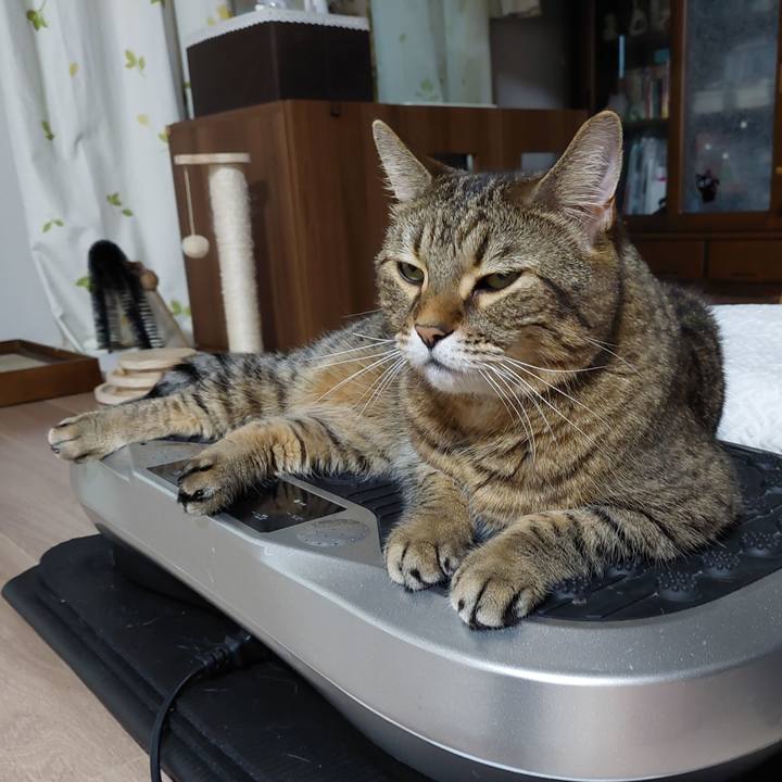 396a345c 2b75 47d2 8c29 6c8ac280b90c 1635284306570