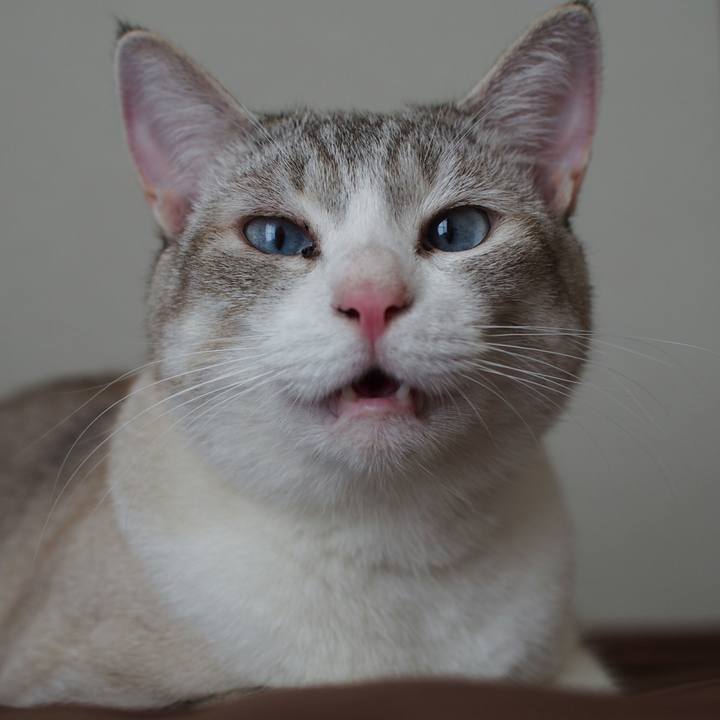 396a4c25 81d6 45f4 8c9c d530cf3f9510 1532142501106