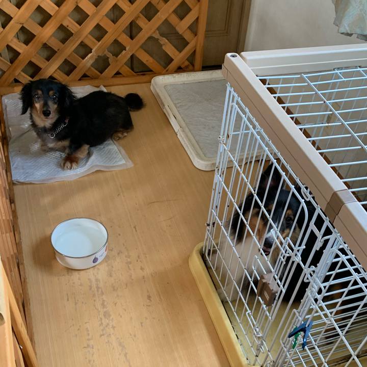 396aa056 c9a0 4ab7 8a48 deec1a46c4b6 1597702400423