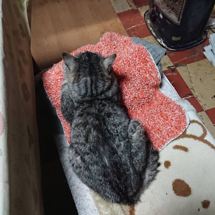 396ad172 76bd 4b1f 82d4 f84790e5564f 1580728033104