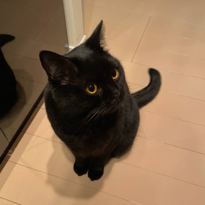 396af912 0bd2 4532 8092 1833da5e3007 1613298744839