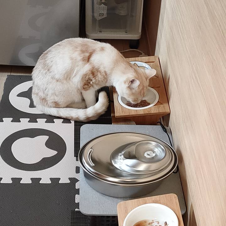 396af9da 1803 4a60 a316 45bd9518b6eb 1675813570422