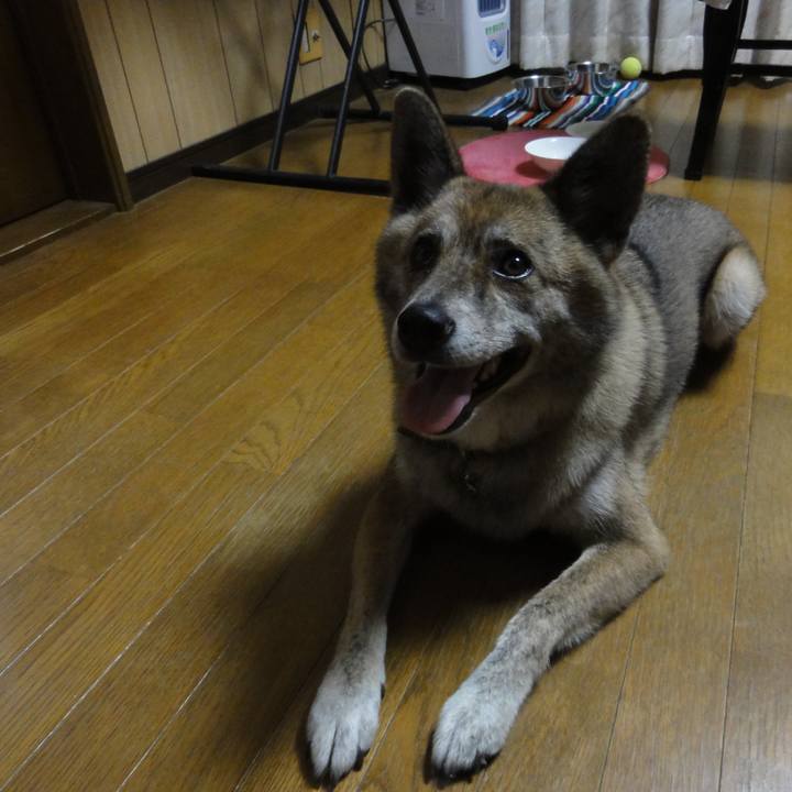 396b05f4 0b41 4a4b bc9f 0d10e75cedff 1604418528463