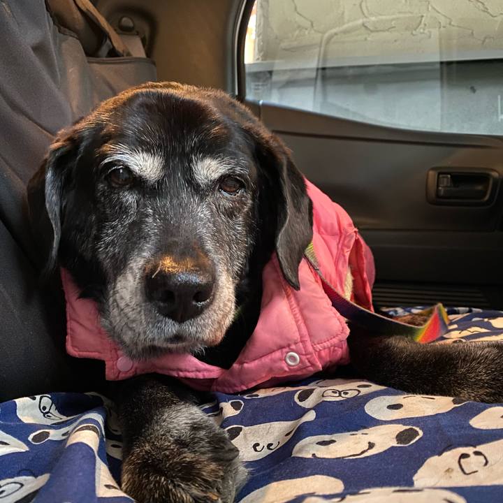 396b1194 9296 49fa b420 d8ee038bf5b2 1739710991348