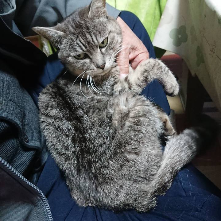 396b4e6d 7c53 422a b036 1105ad04cc43 1582754101330