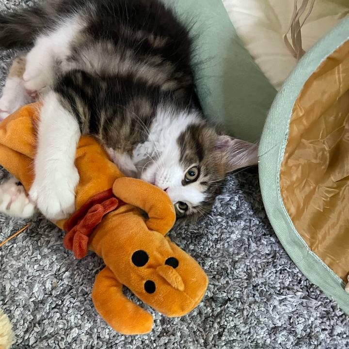 396b5df6 d289 4d34 b4cd 715deb29c61d 1632223345738