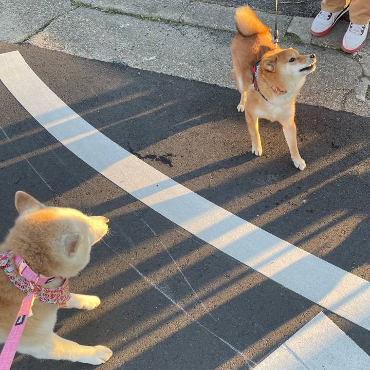 396b8789 fc6e 4cd0 a0f5 137866536a9b 1645597175043