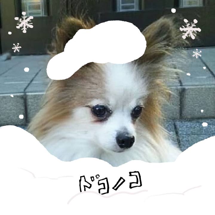 396bbe86 4b11 4028 a4e4 f2a4013e16ea 1772501894784