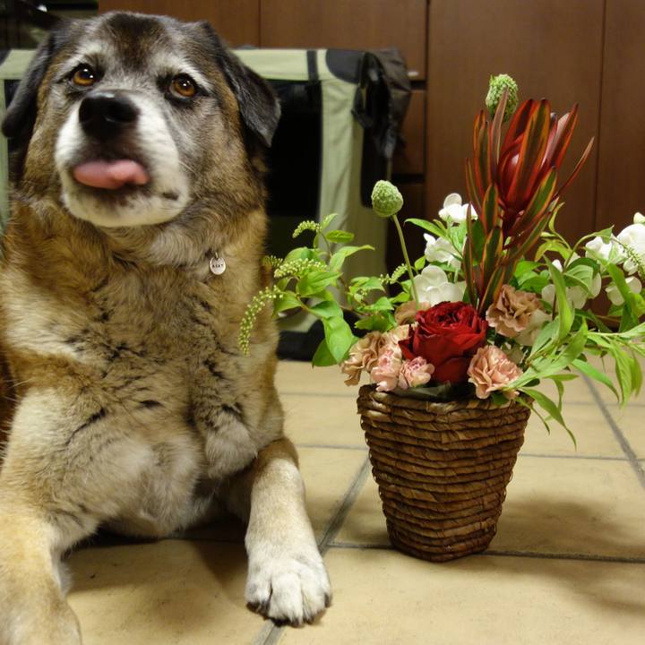 396bc18f 0c31 44ca 9c38 758df762b49e 1636331682134