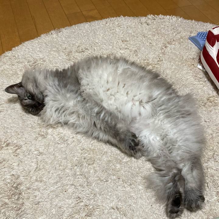 396bc3f8 02f7 4250 80ce e76d22a60f8f 1708480595349