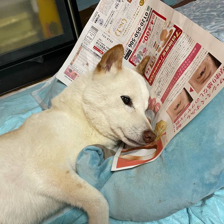 396bc6da cc75 4ef4 b602 acc8715ebe06 1653053881215