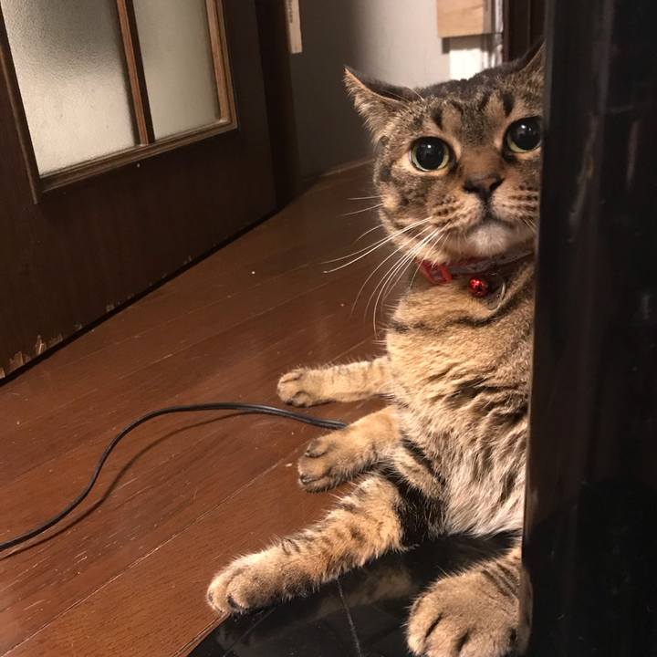 396bd2d5 9412 416f 8fec f0d05cf635da 1621600019408