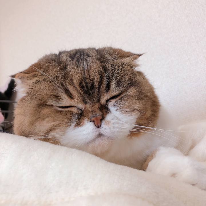 396c4a23 045d 4874 82bb fef26412110d 1554444529017