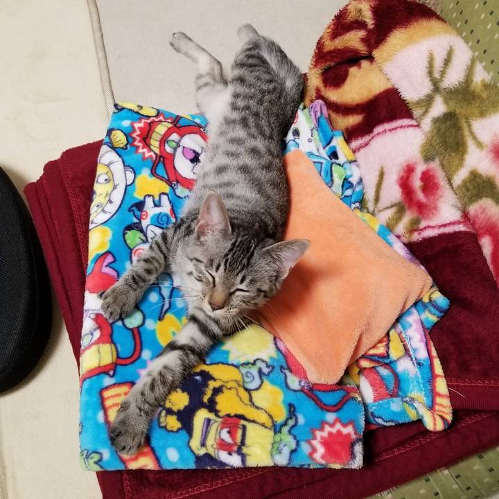 396c4d3a 9375 4bd3 b350 43cbb8a41fb2 1667042460432