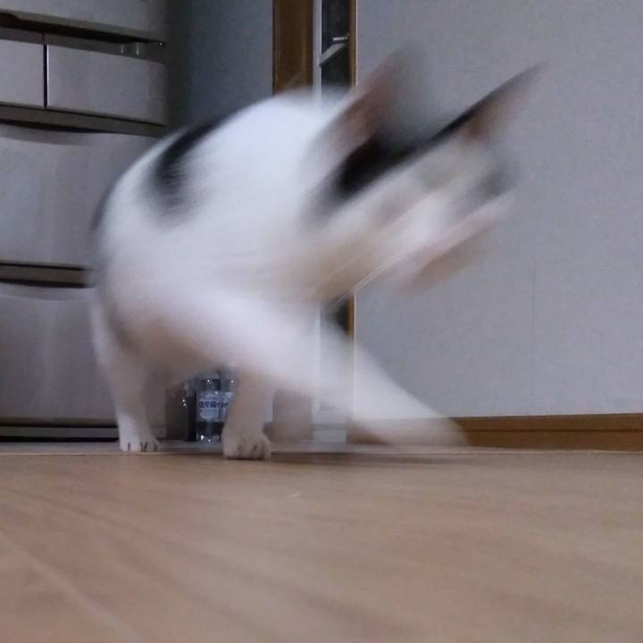 396c670c 8f44 4721 91ab 6fcdd49dec42 1535718014034