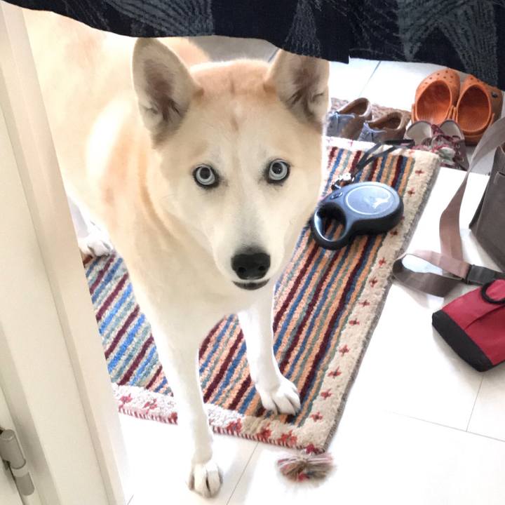 396cf084 2f5d 41ed a085 034d5bf23e66 1672365663068