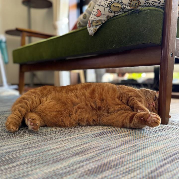 396d11c1 1f10 4bc1 af63 88d0e36e687b 1753103263892