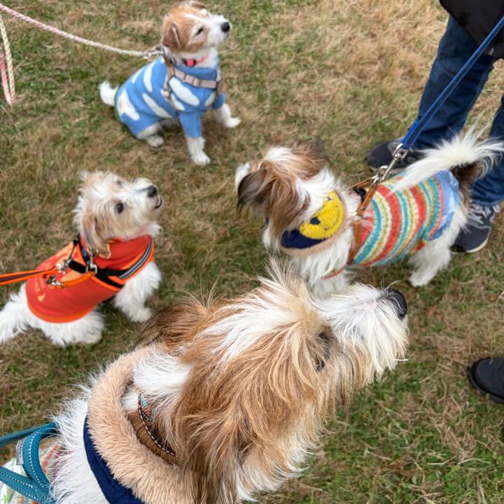 396d3b14 e690 4a2c 80e0 cc1987aecba5 1763903737877