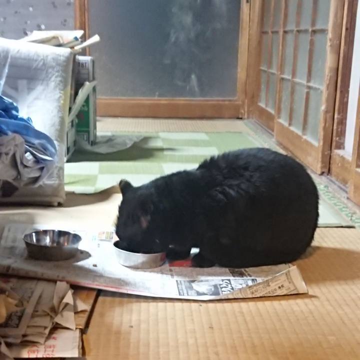 396da84c ae34 40a7 8e22 0c939bbda25f 1616100207385