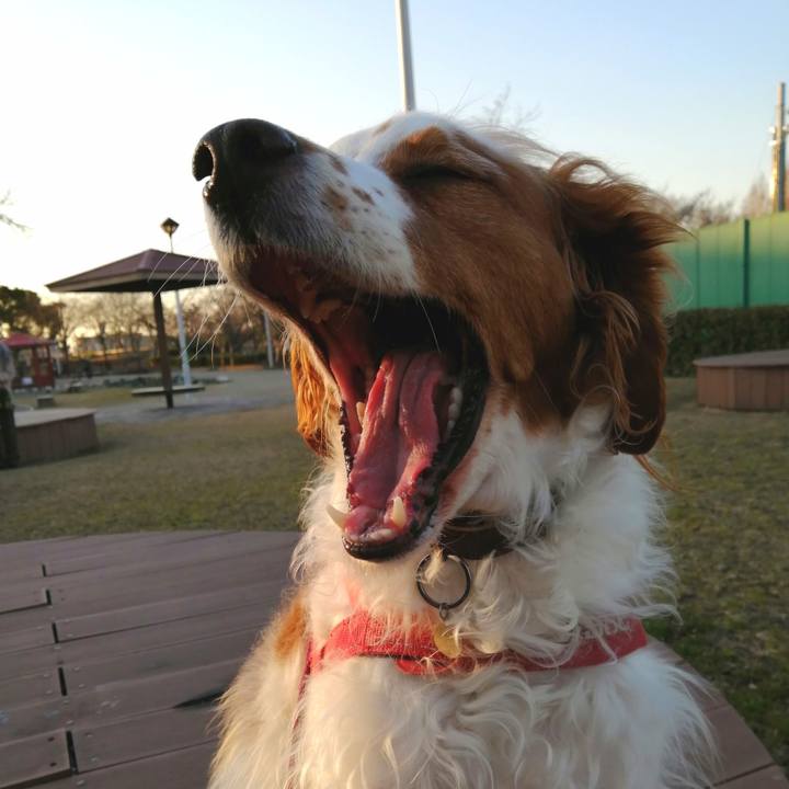 396db9ab 2660 4b90 a781 77b513462d2b 1611221845930