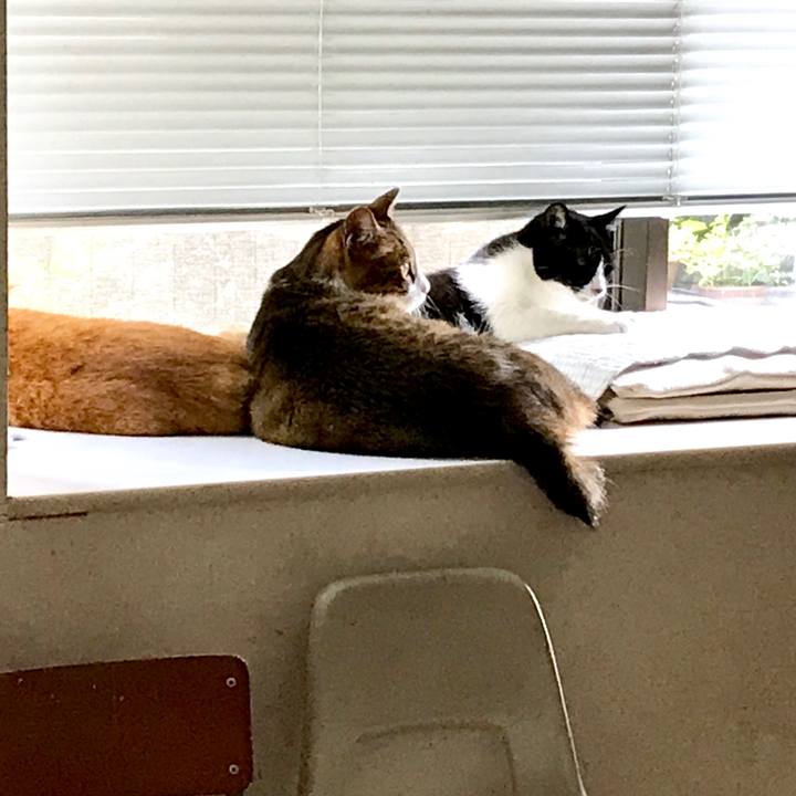 396dd8cb 4120 48c1 87c4 d9104833fa13 1535006145383