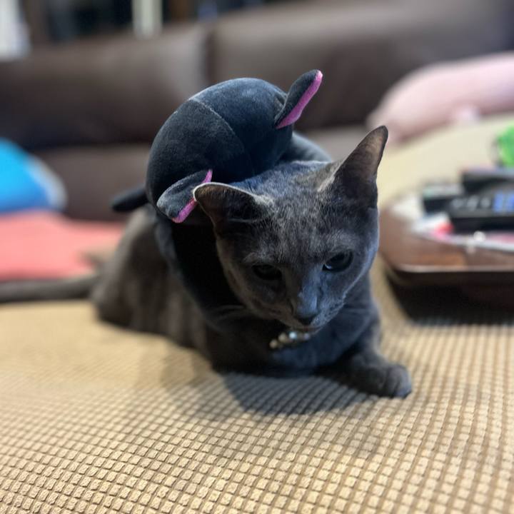 396dfcef d7b3 4b70 a765 fc640fc34ac8 1728475235167