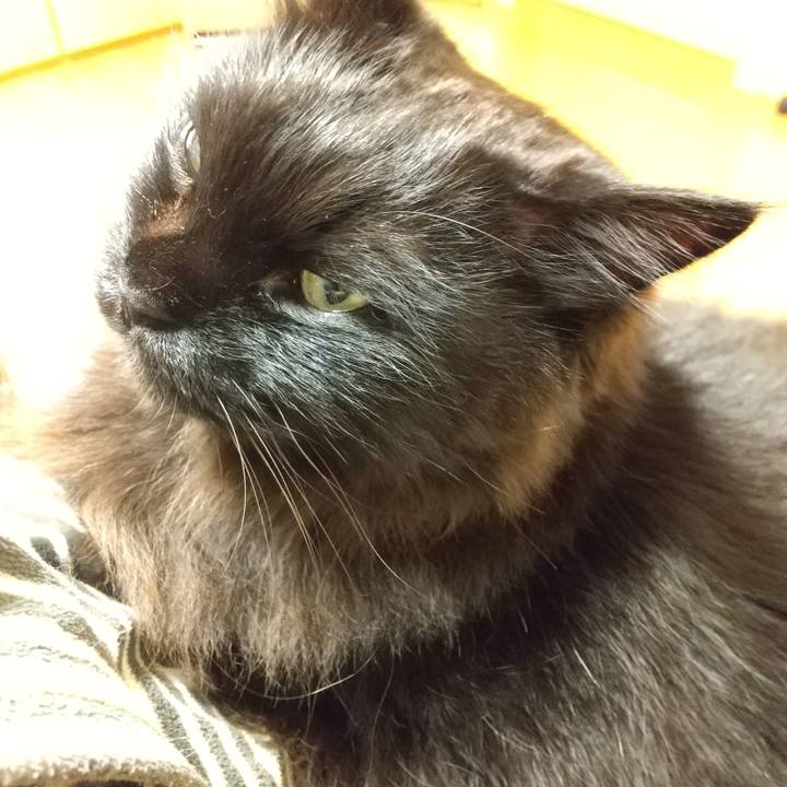 396e090e 239f 4b57 8c62 7ef1dd49a54e 1579444014364