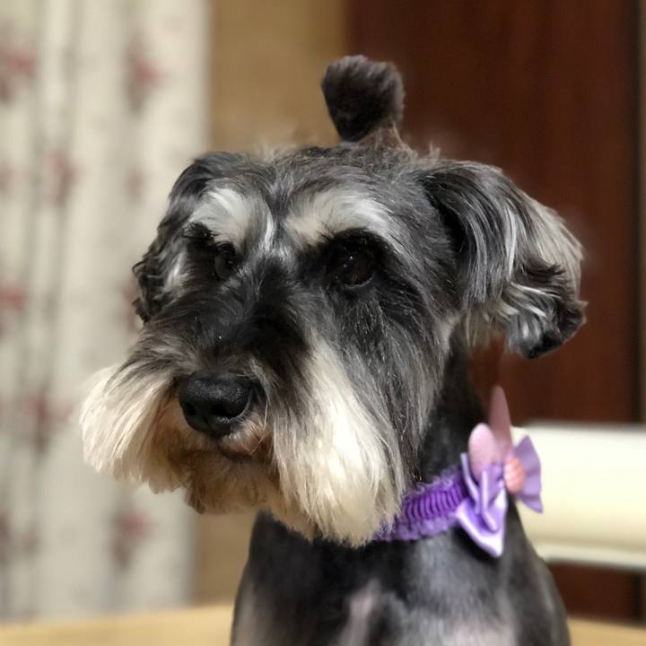 396e19ea 1cee 4658 9cc6 64566fbf7ba0 1555415225311