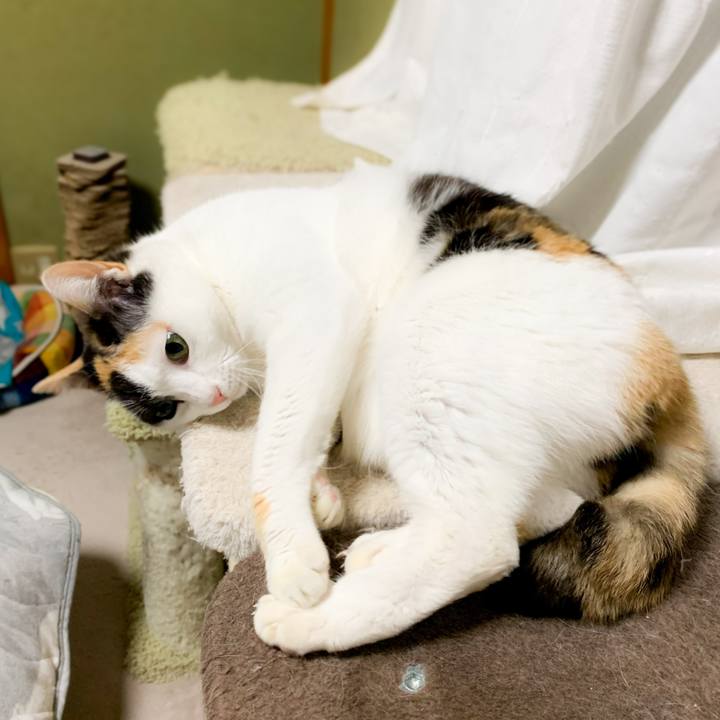 396e3478 18d6 4ffb 9577 2e72de0aba82 1584323792790