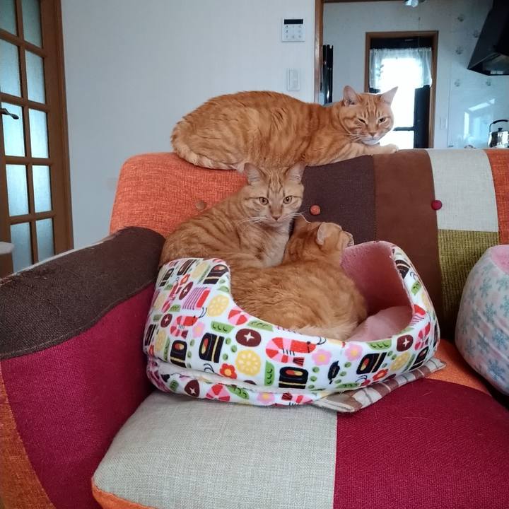 396e3b09 8569 42dd 9f47 9868e6ca43fd 1589441358474