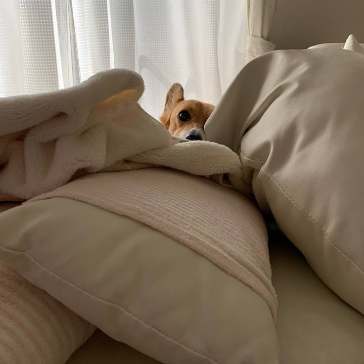 396e43be ff1b 4182 8ad8 1d565908d2d5 1587880474523