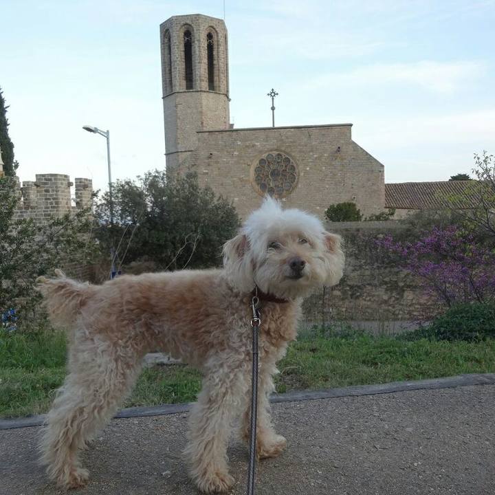 396e506f 544f 4888 8f33 db0390944c87 1584890976230