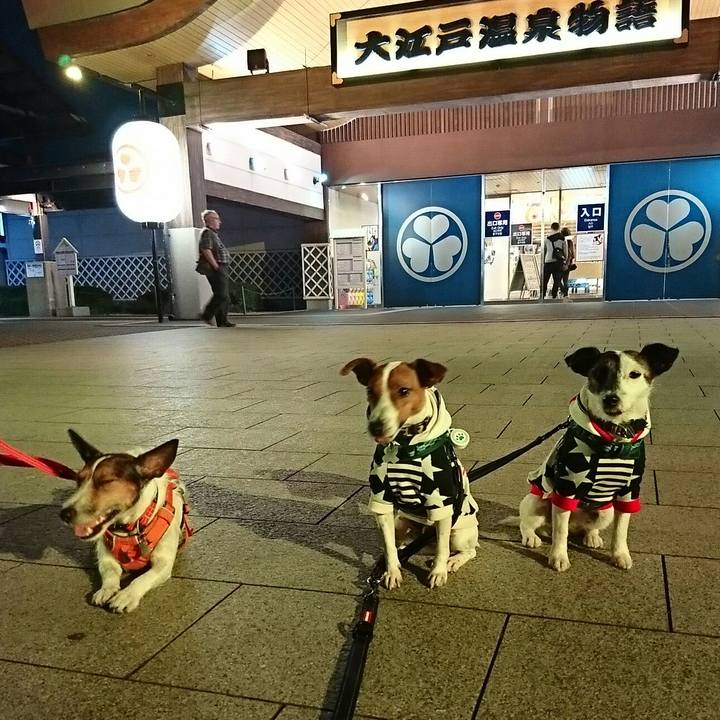 396e661e 41de 45fc b148 f60ed6dbf382 1540718603743