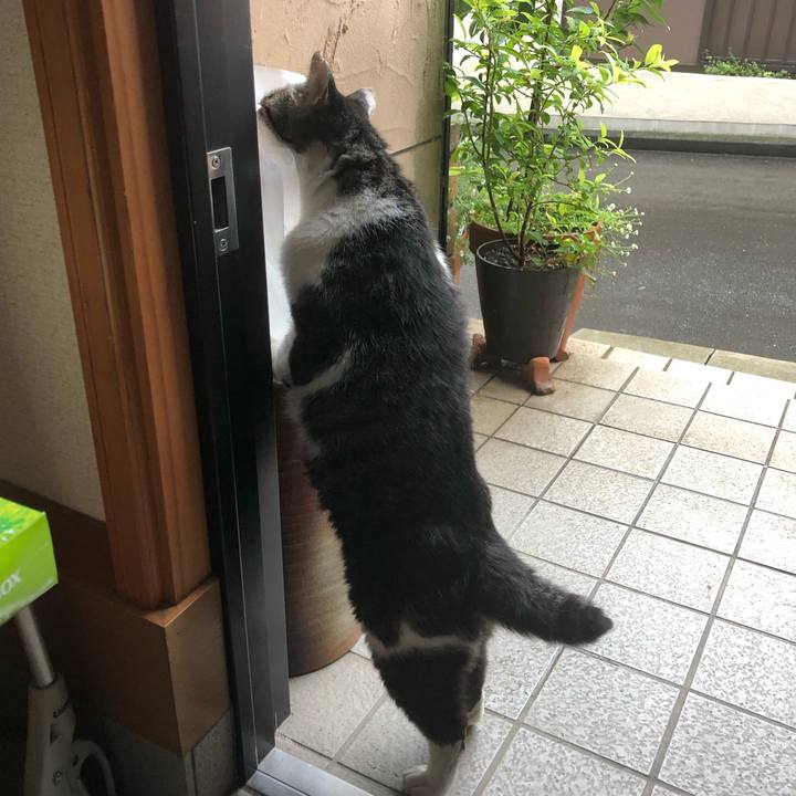 396eb4b3 a016 4449 bf46 f6385d3733af 1562923758710