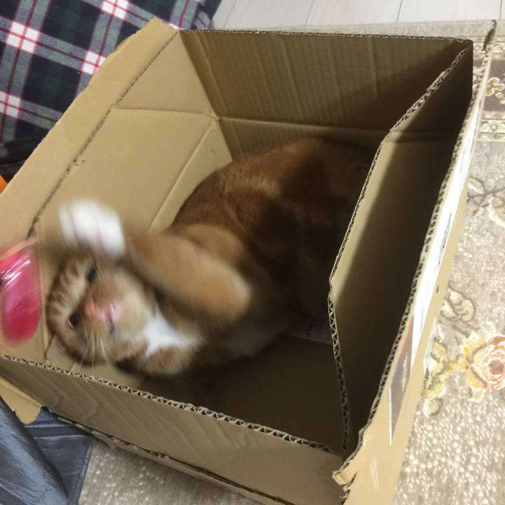 396ed495 98ca 43c9 8f1a 9b312aea79f0 1601733417343