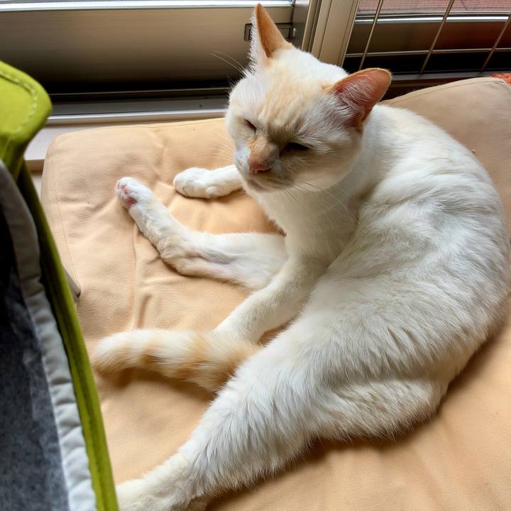 396f111a 433f 430c b090 b452257cfcc6 1762485311583