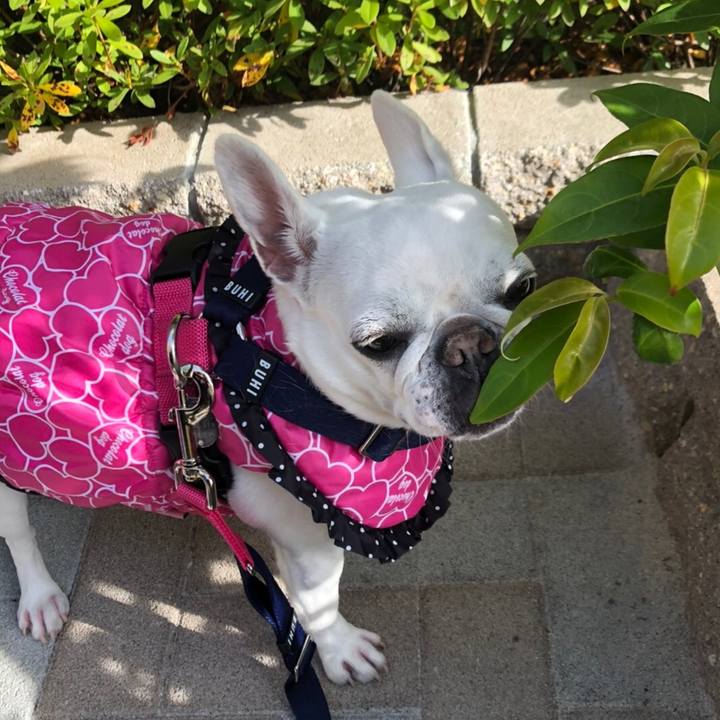 396f3e78 9ea3 40ec 88c9 1f3b146d781f 1581738308960