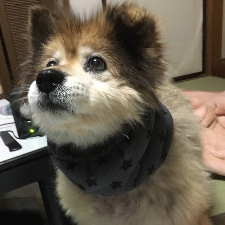 396f6e82 ce45 49f2 ae4e 89b8c5c0fc02 1591236336572