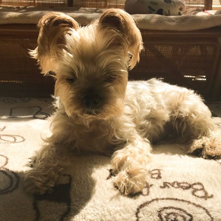 396f8a36 047e 484e 8642 9b1216d19530 1554764934210