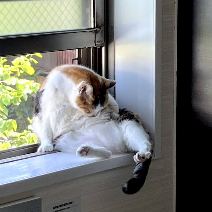 396f9436 b72c 4d6f a272 fdb059ecbfbb 1745331041689