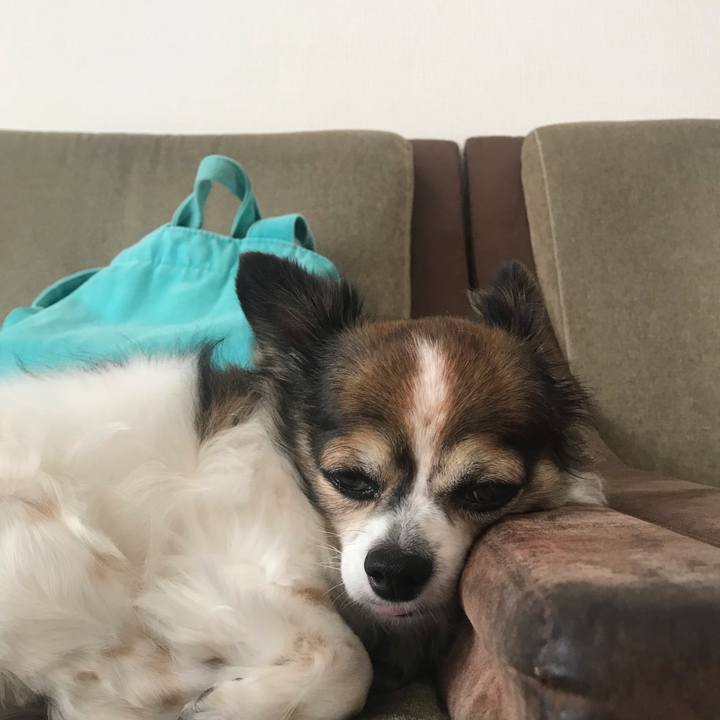 396fba7e c1f6 4259 880e 12c394126fa3 1664604588018