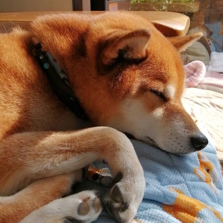 396fbe08 ca59 4c8c 9612 611c4ff3b768 1646994681883