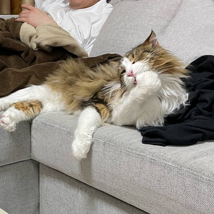 396fca00 ebee 4920 9929 39f5c34ffb5c 1678791620753