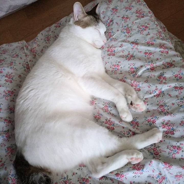 396fdc26 37f1 4c3b ba02 b92c3ccabefa 1745370400909