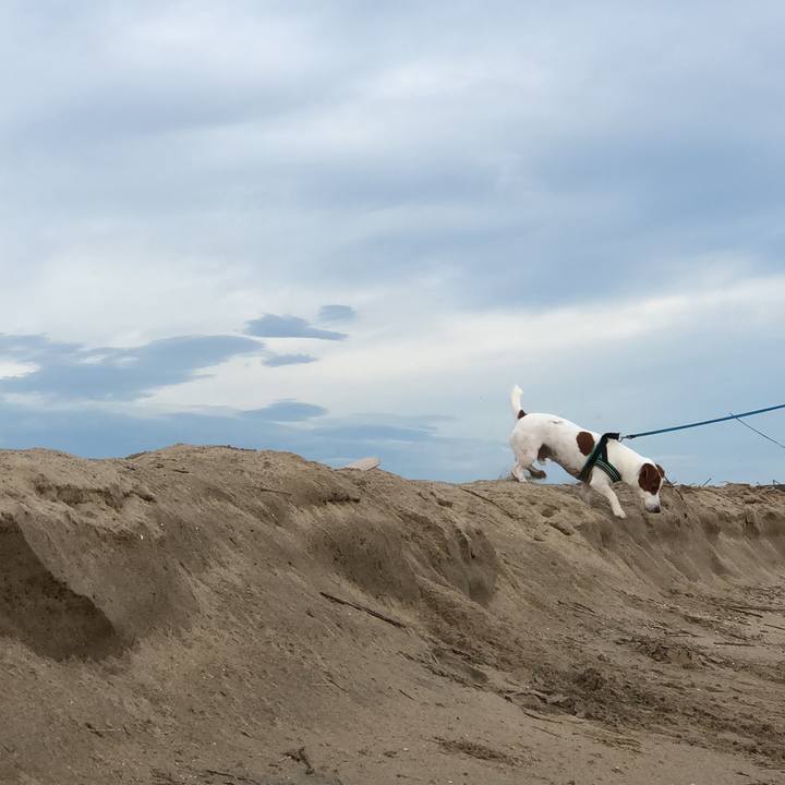 397017c1 ed91 4444 a12d 6acccfb11d0a 1565256967502