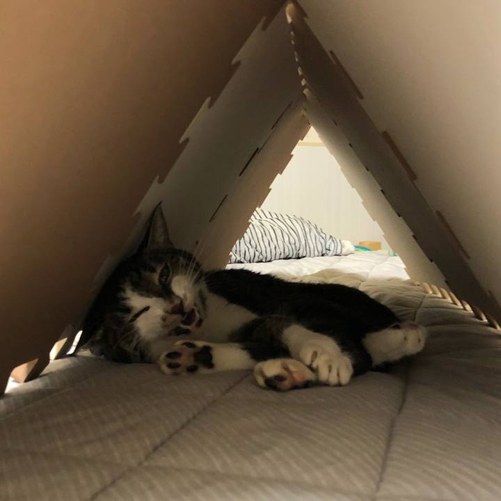 397067ba dbb0 4898 b14e 4e77e1e482e2 1536783212925