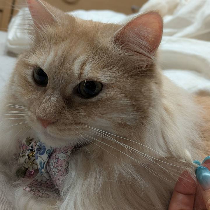 3970690e 412a 4b36 adce af4e4d7c4dbf 1750430195966