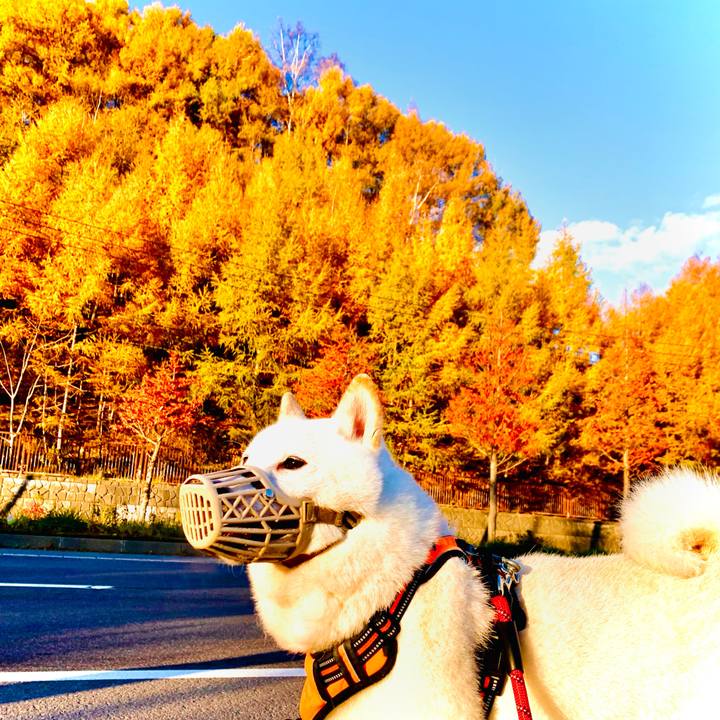 3970c502 71cf 436d ad57 624f71057faf 1636154308827