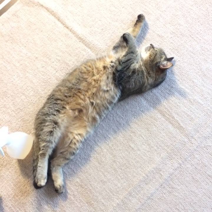 3970dc75 4621 4f0c 9373 1d68e86cd70a 1558565225079